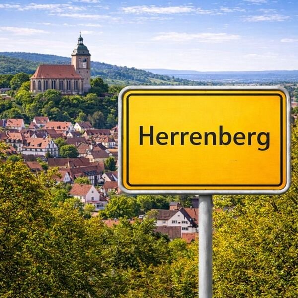 Gelbes Ortsschild Herrenberg mit Stadt im Hintergrund